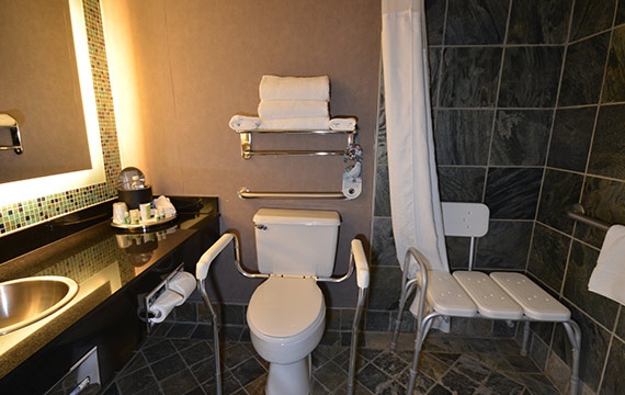 Premium Room 1 King Accessible